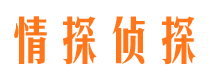 伊川侦探